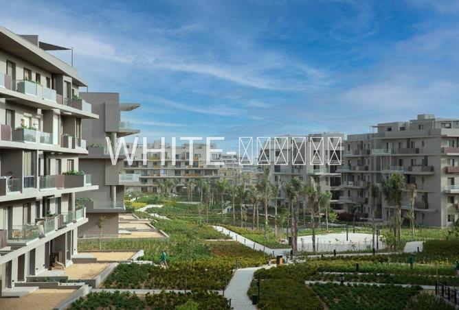 75683348 - Property Image 2