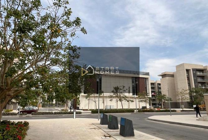 8665081 - Property Image 3