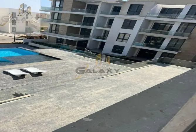 113822477 - Property Image 3