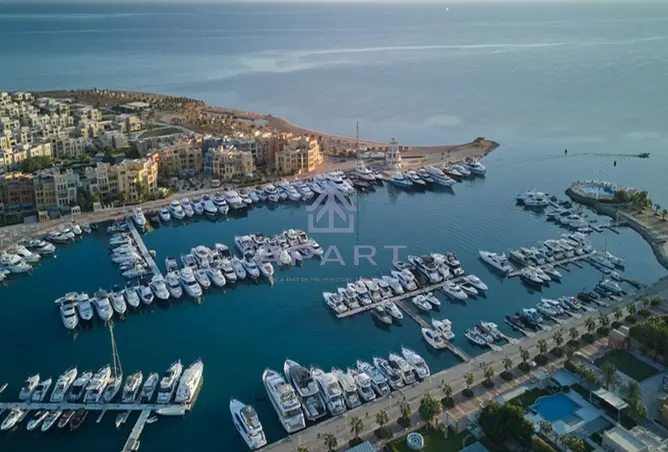 116497890 - Property Image 2