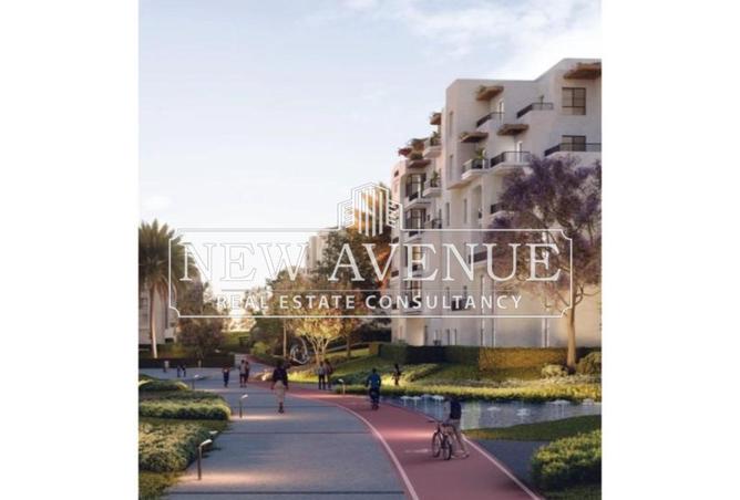 64126240 - Property Image 3