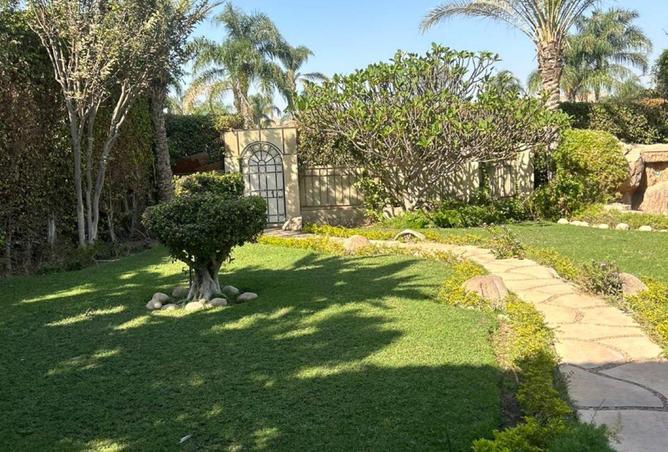 68783206 - صورة العقار 3