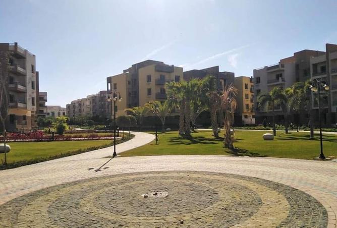 8511529 - Property Image 3