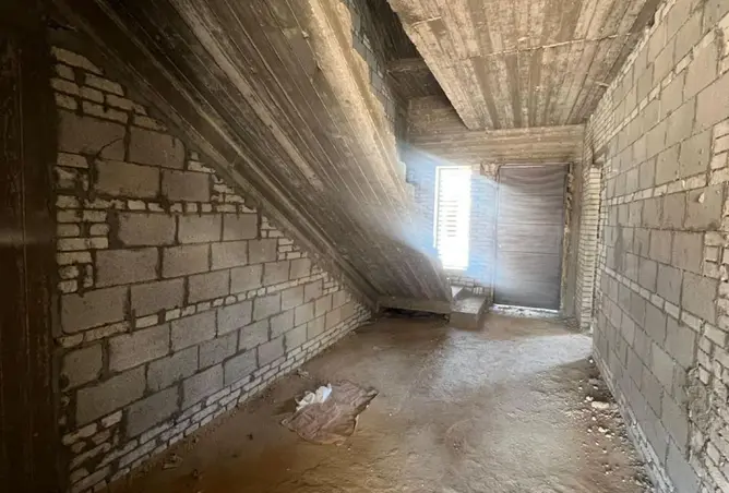 117283254 - Property Image 3