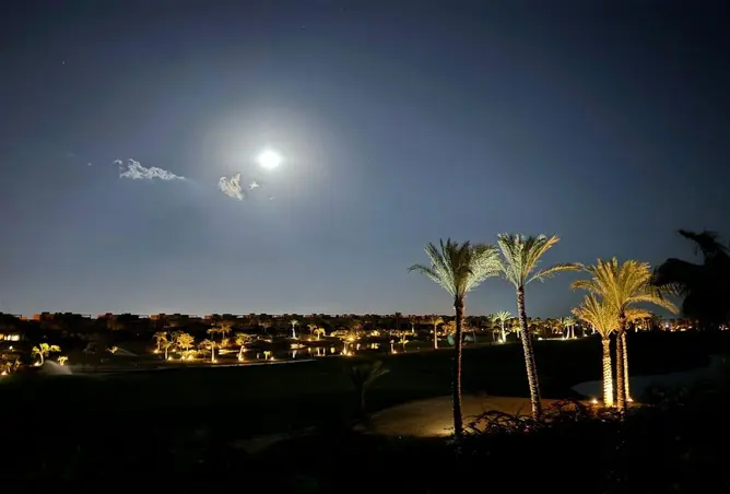 117528720 - صورة العقار 3