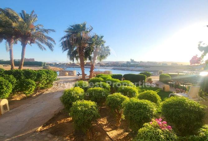 52448648 - صورة العقار 2