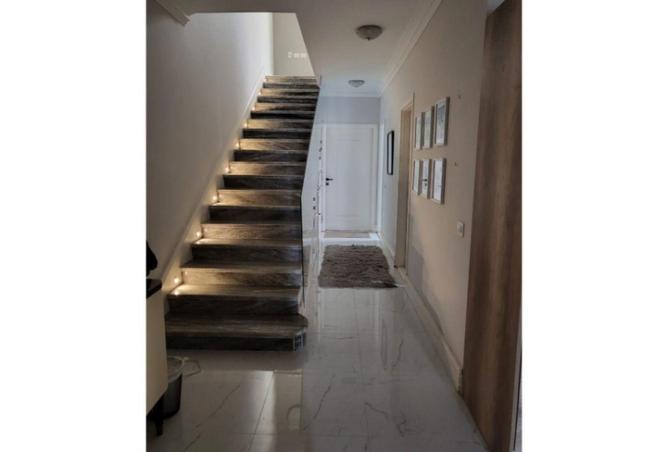 56005004 - Property Image 3