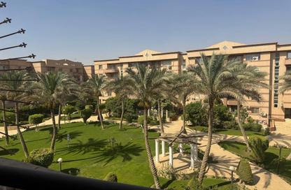Apartment - 2 Bedrooms - 1 Bathroom for rent in Al Rehab - New Cairo City - Cairo