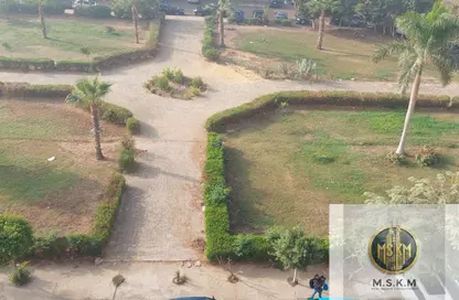 Apartment - 3 Bedrooms - 2 Bathrooms for rent in Akhnaton St. - District 5 - The 5th Settlement - New Cairo City - Cairo Apartment - 3 Bedrooms - 2 Bathrooms for rent in Akhnaton St. - District 5 - The 5th Settlement - New Cairo City - Cairo