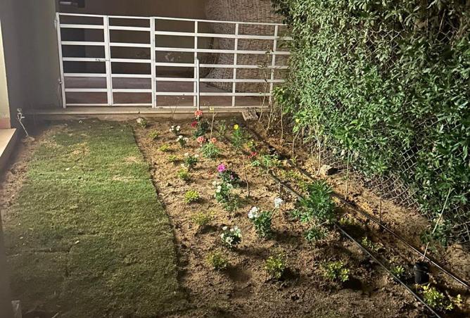 63889685 - Property Image 3