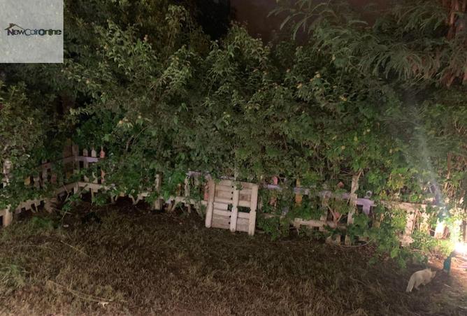 104039873 - صورة العقار 3