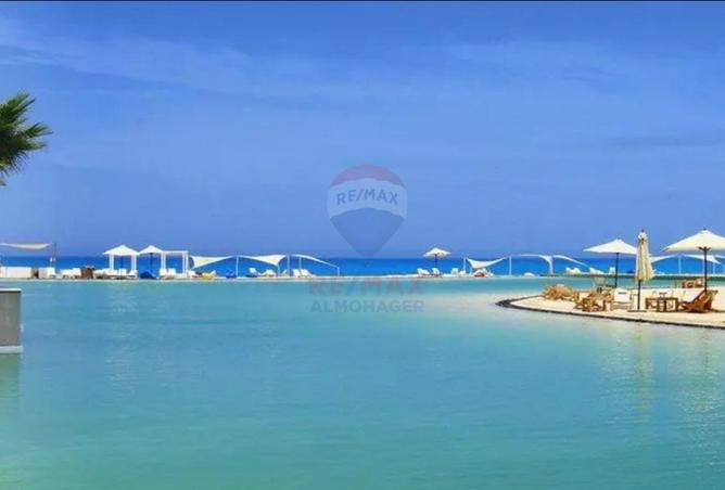 101487695 - صورة العقار 2