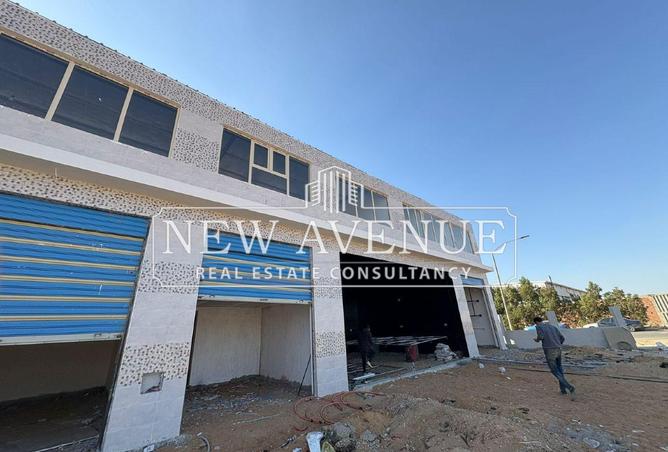 62410006 - Property Image 3