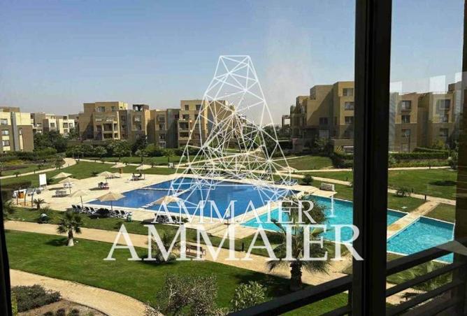 53730167 - Property Image 2