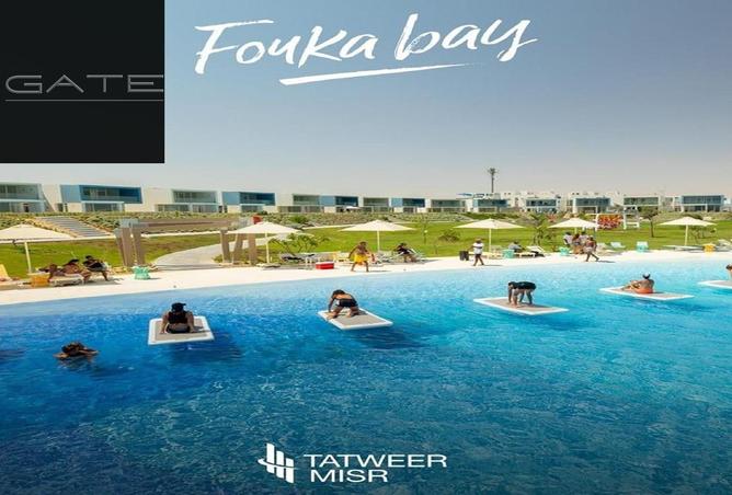 67736795 - Property Image 3