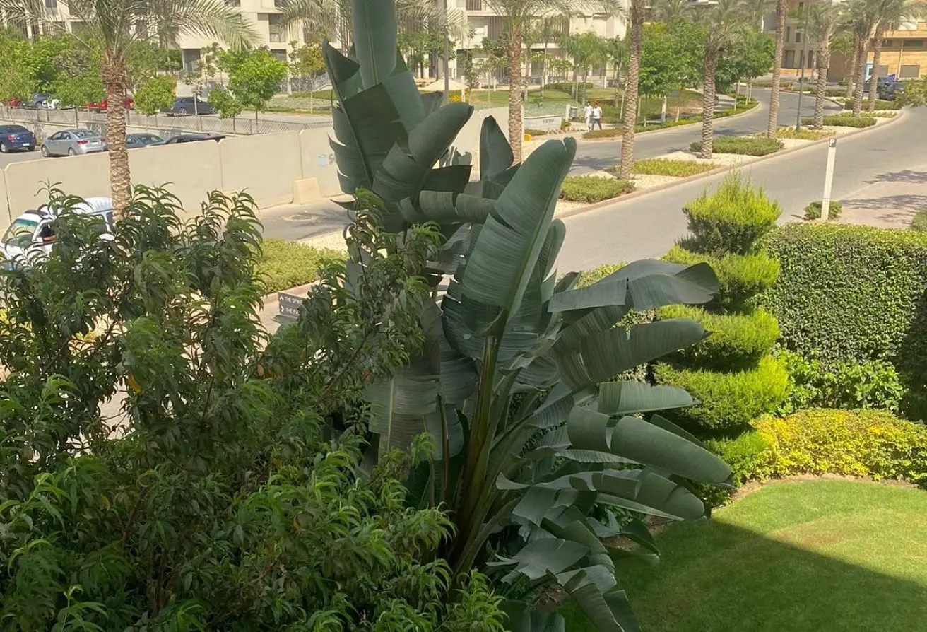 118810882 - Property Main Image