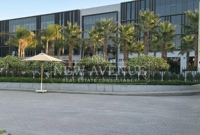 113246796 - صورة العقار 3