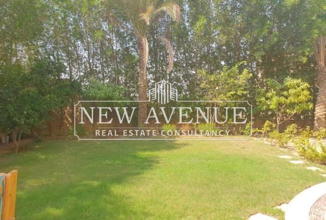 65923460 - صورة العقار 2