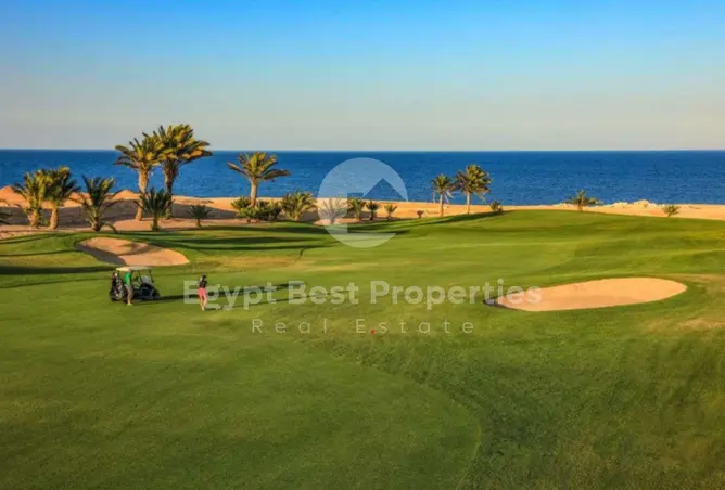 111316537 - Property Image 2