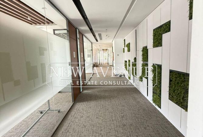 55002855 - Property Image 3