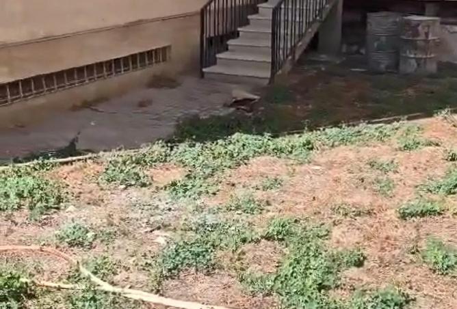 62406261 - صورة العقار 3