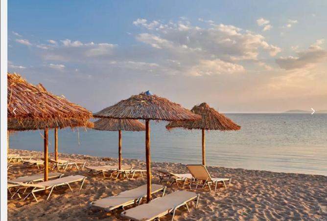 8496614 - صورة العقار 2