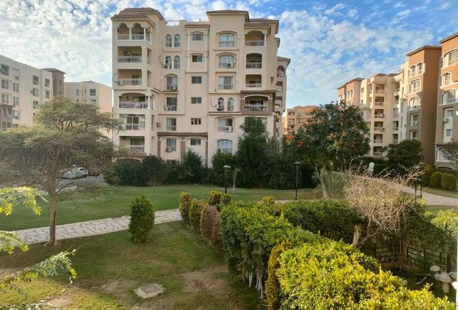 55504329 - Property Image 2