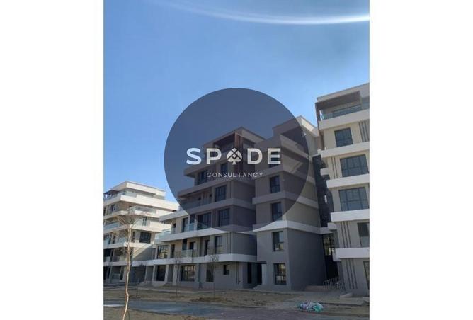 56496243 - Property Image 3