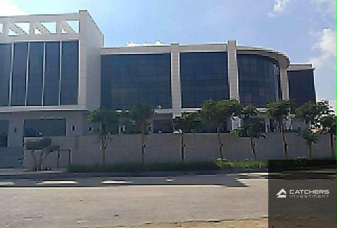 66962009 - صورة العقار 3