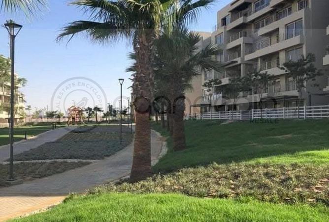 71919076 - صورة العقار 3