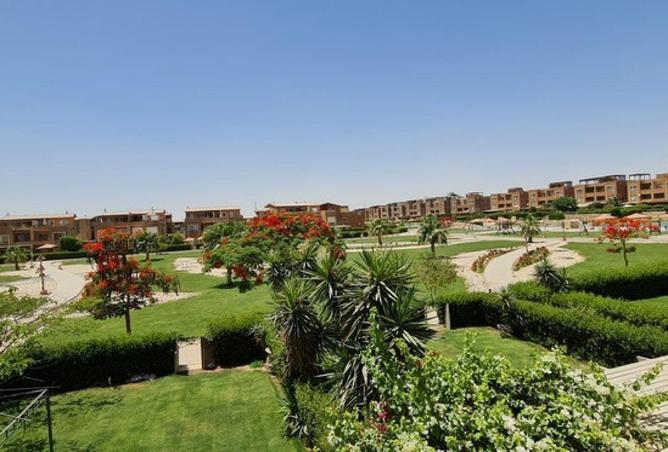 53973860 - Property Image 3