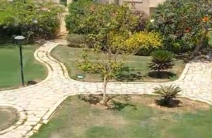 Apartment - 2 Bedrooms - 1 Bathroom for rent in B6 - Madinaty - Cairo Apartment - 2 Bedrooms - 1 Bathroom for rent in B6 - Madinaty - Cairo