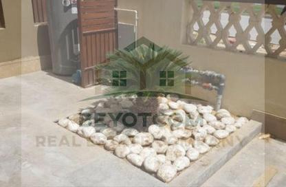 Twin House - 4 Bedrooms - 4 Bathrooms for rent in Palm Hills Golf Views - Cairo Alexandria Desert Road - 6 October City - Giza Twin House - 4 Bedrooms - 4 Bathrooms for rent in Palm Hills Golf Views - Cairo Alexandria Desert Road - 6 October City - Giza