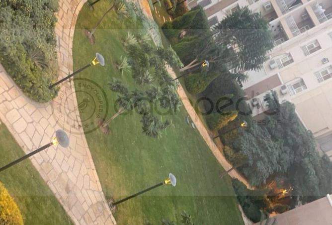 53978785 - Property Image 2