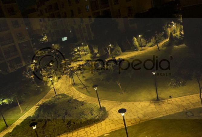 53978785 - Property Image 3