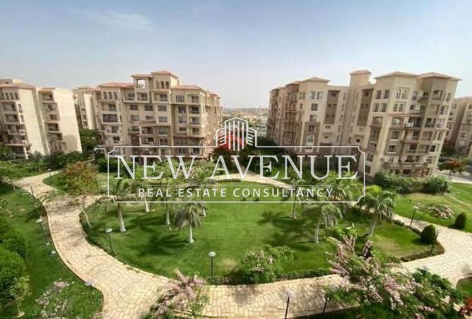 66421304 - صورة العقار 3