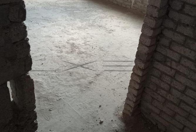 67733308 - صورة العقار 3