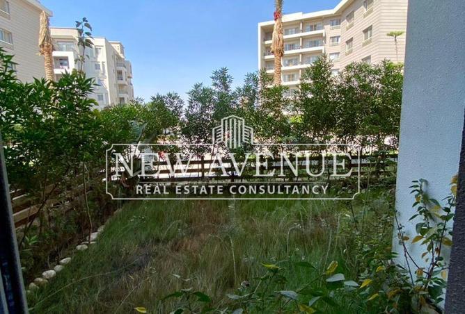 57491095 - Property Image 3