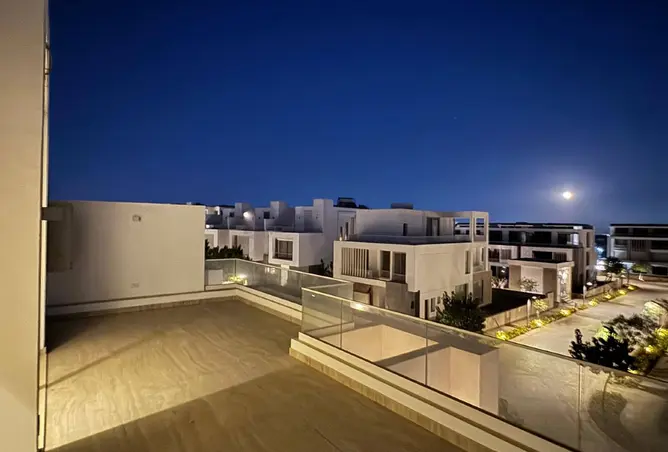 117536668 - Property Image 3