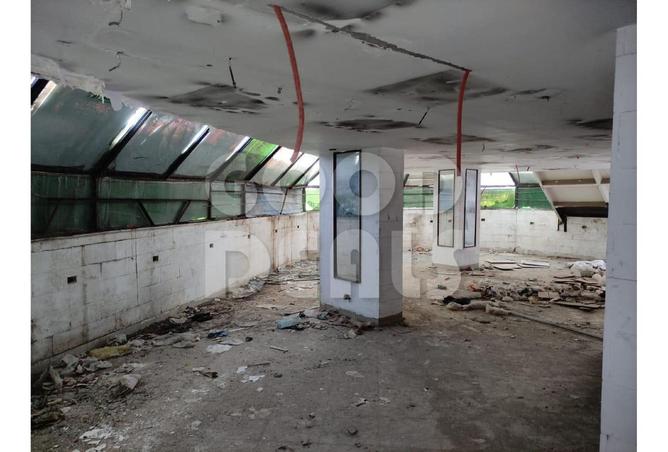 8402346 - Property Image 2