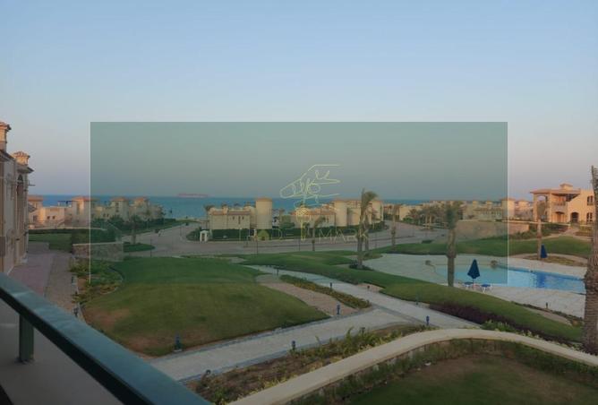 66436453 - صورة العقار 3