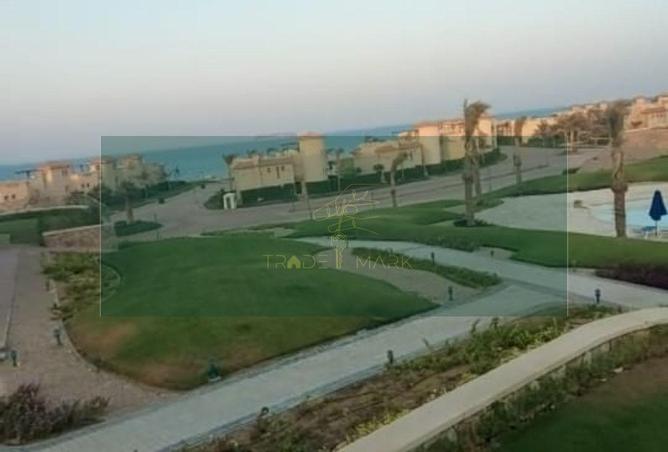 66436453 - صورة العقار 2