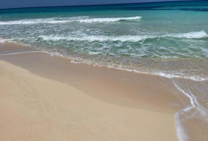 97443345 - صورة العقار 3