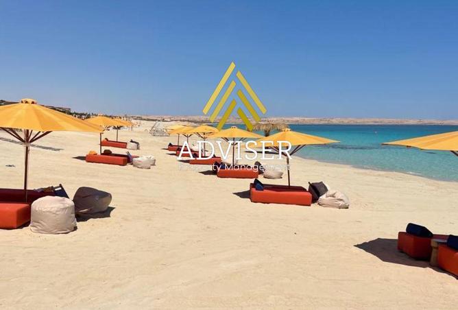 98008483 - صورة العقار 2