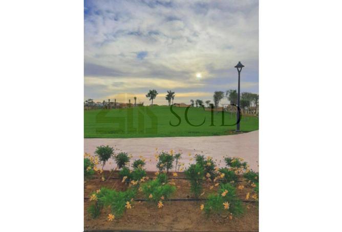 59994799 - Property Image 3