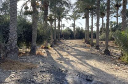قطعة أرض - استوديو للبيع في المنصورية - حي الهرم - الجيزة