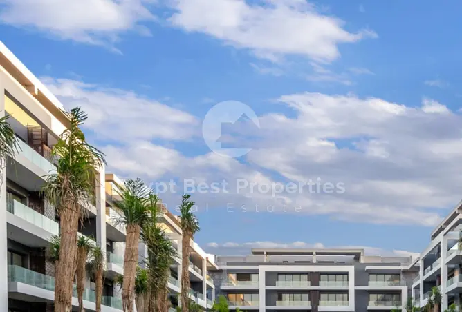 119339648 - Property Image 3