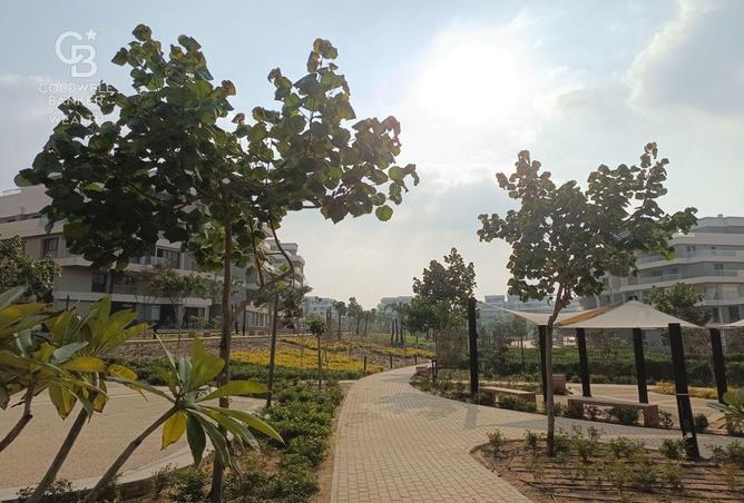 65414656 - صورة العقار 3