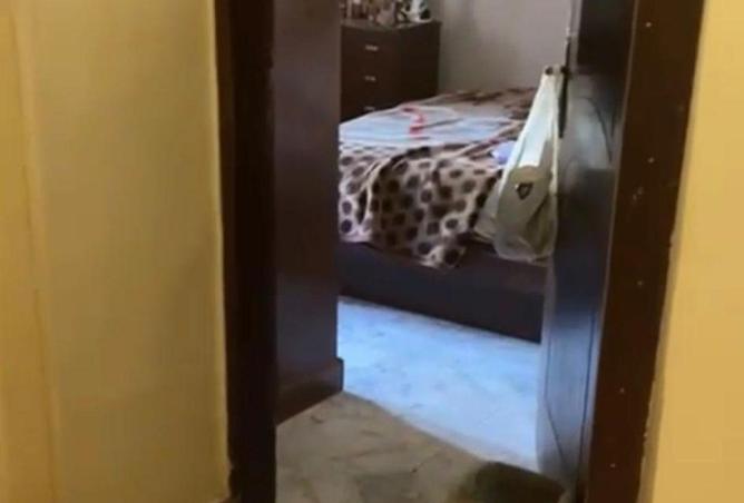 64890758 - Property Image 3