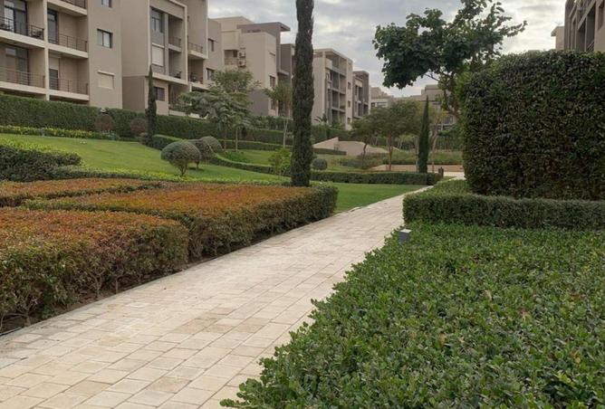 68525777 - Property Image 3